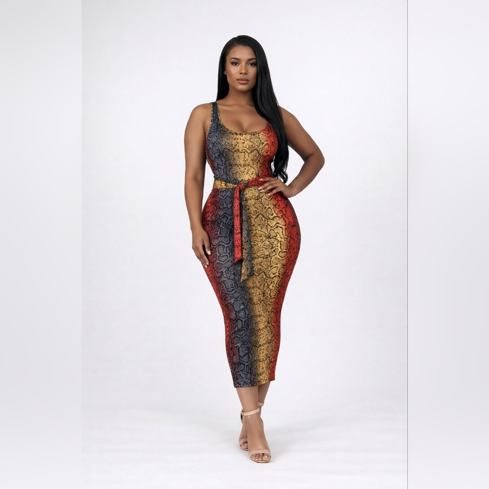 Roaton Coral Snake Print Dress